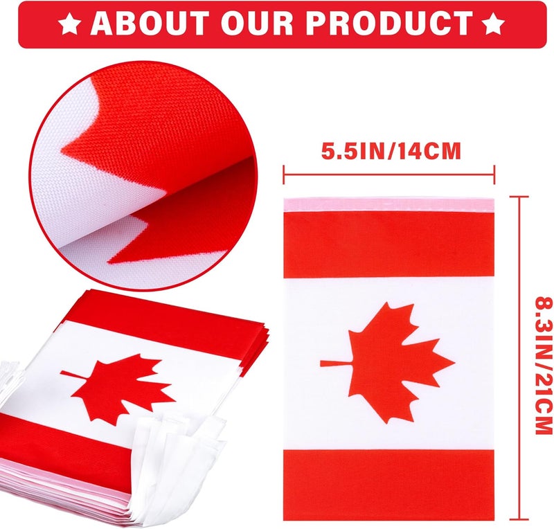 MVPRING Canada String Flag Pennant Banner, Small Mini Canadian Flags Bunting Banner, Canada Day Dominion Day National Country Decoration for School, Party, Sports Events, Patriotic Festival, 33 Feet 30 Flags - Image 3
